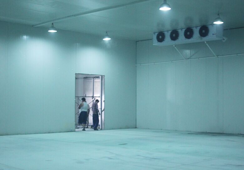 B7.jpg